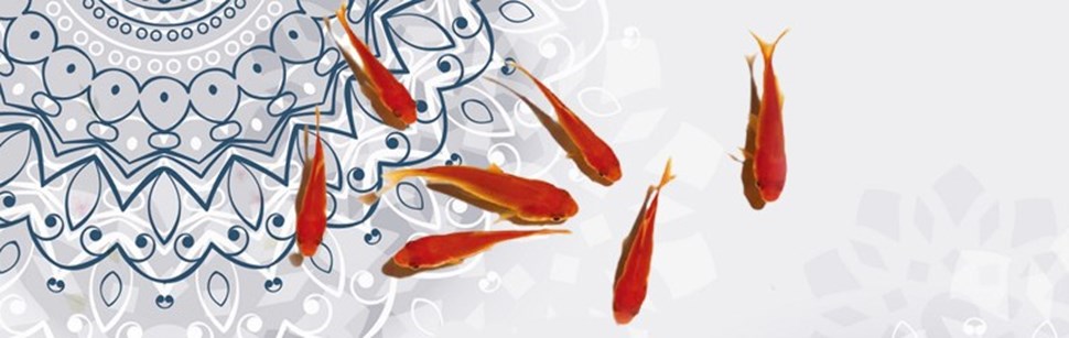 پیام تبریک مدیر عامل پیام تبریک مدیر عامل