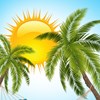 جشنواره داغ تابستانی جشنواره داغ تابستانی